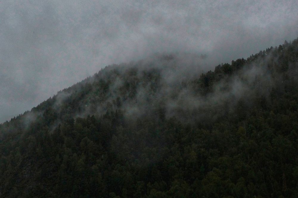 Photograph by Anastasia Anikina