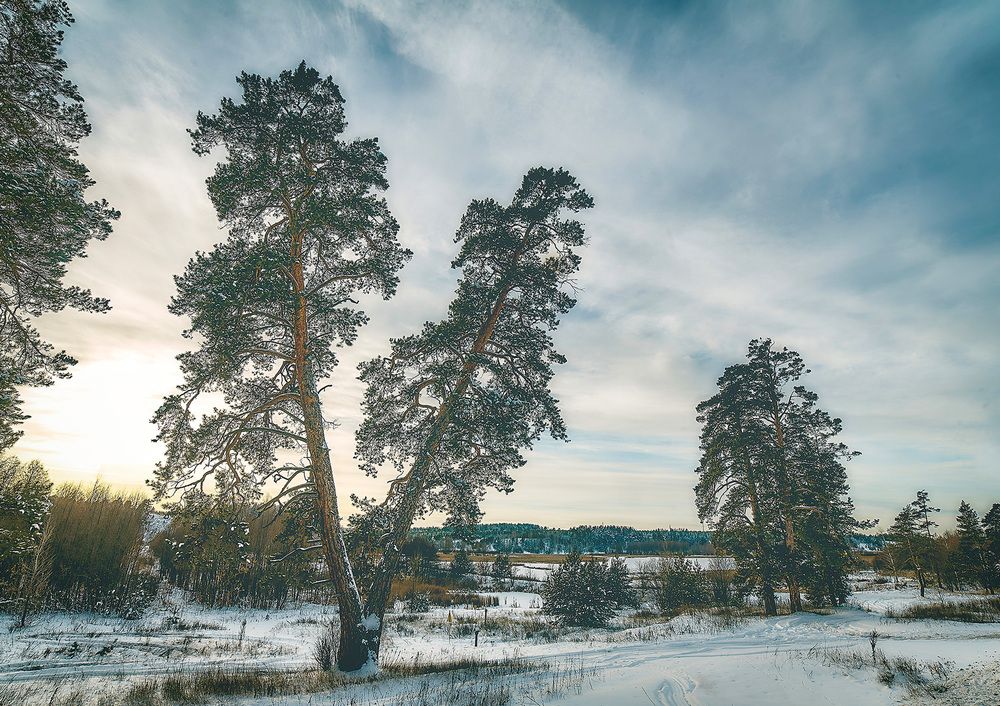 Photograph by Ткачёв Владимир