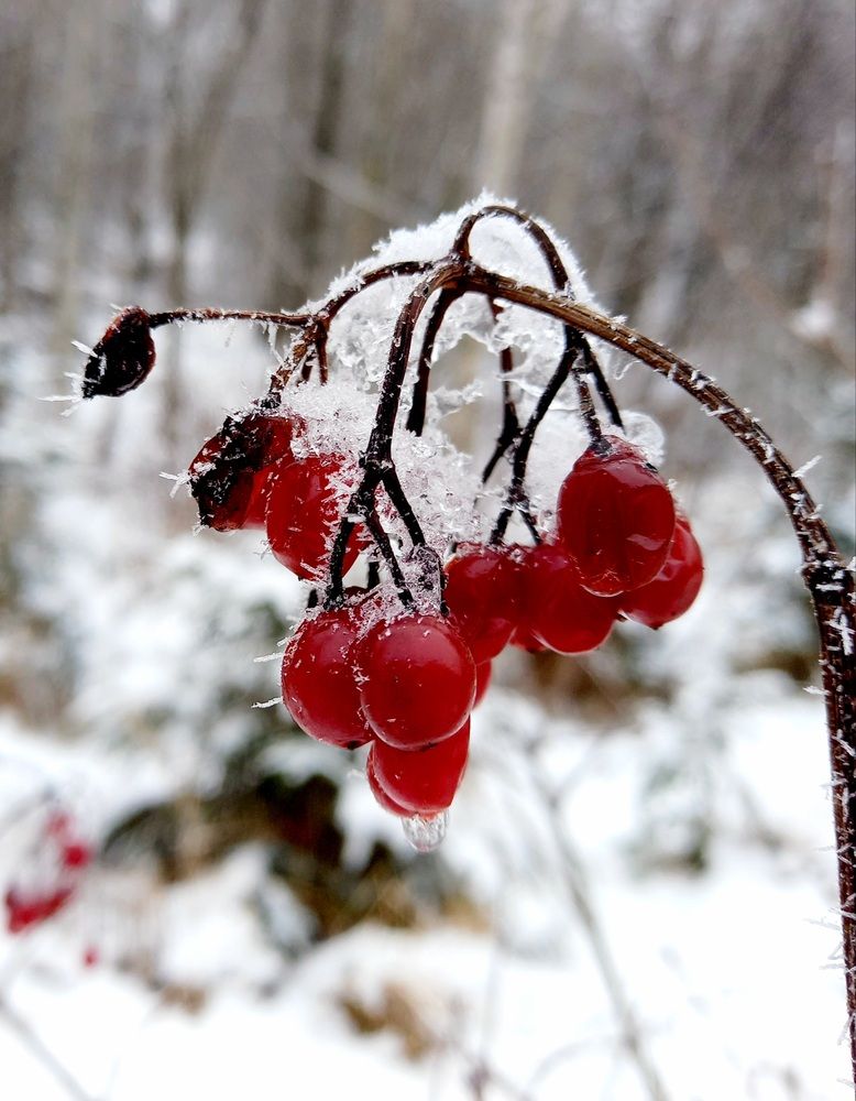 Photograph by Ольга Юрченко