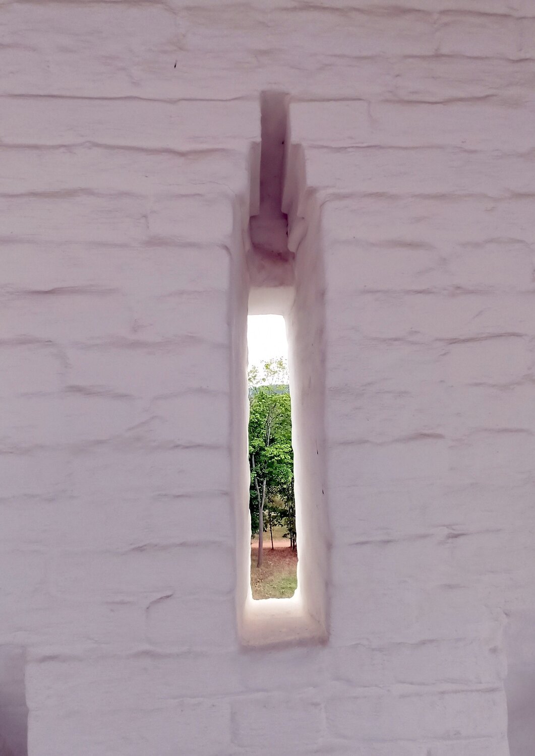 Photo #11804422