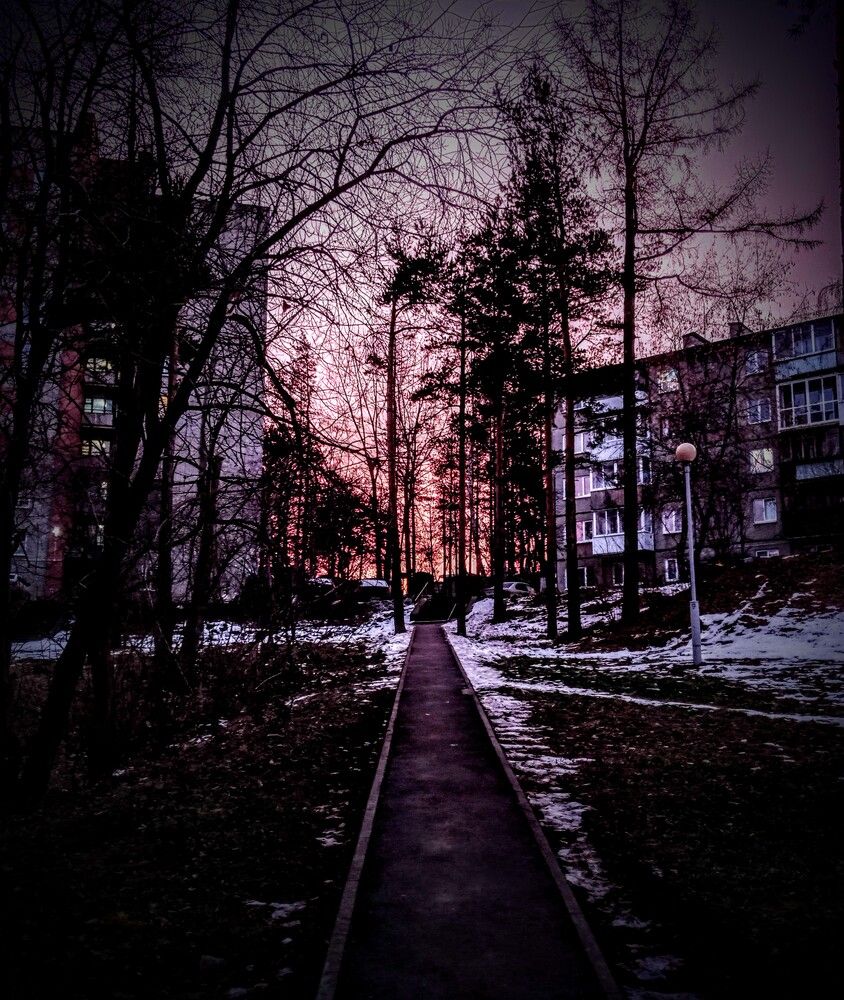 Photograph by Анастасия Мукоида