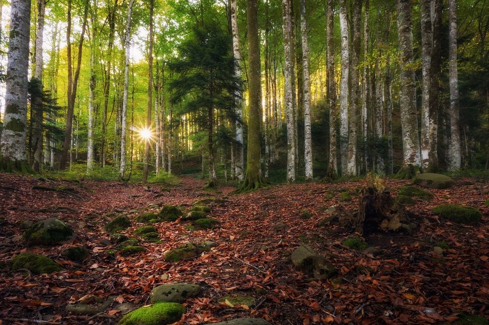 Photograph by Васин Сергей