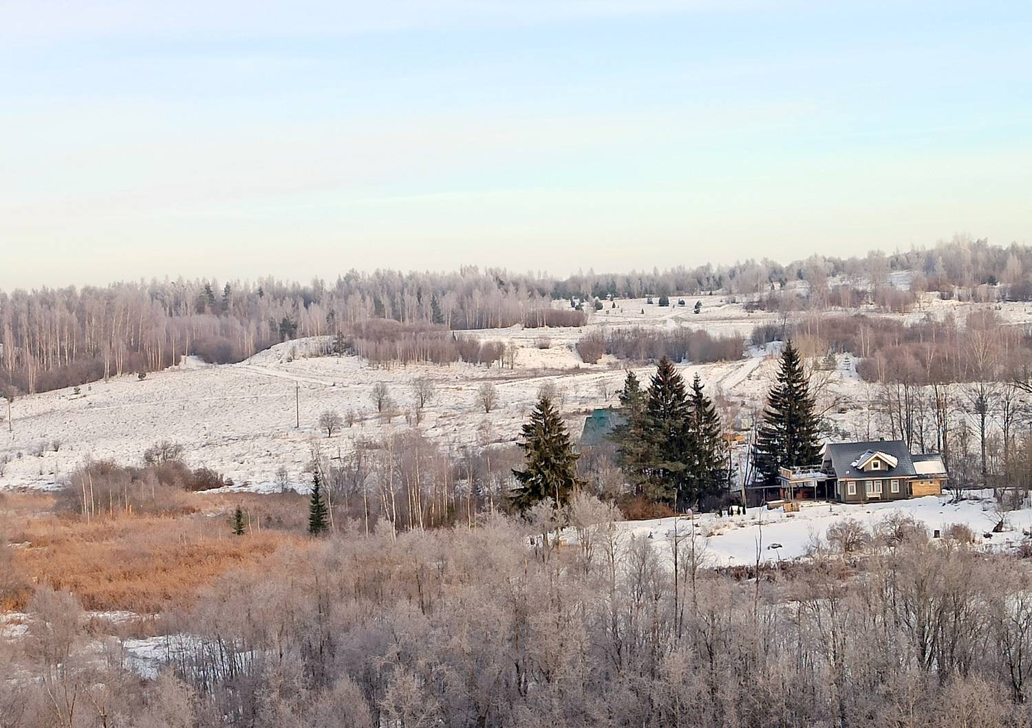 Photo #11804442