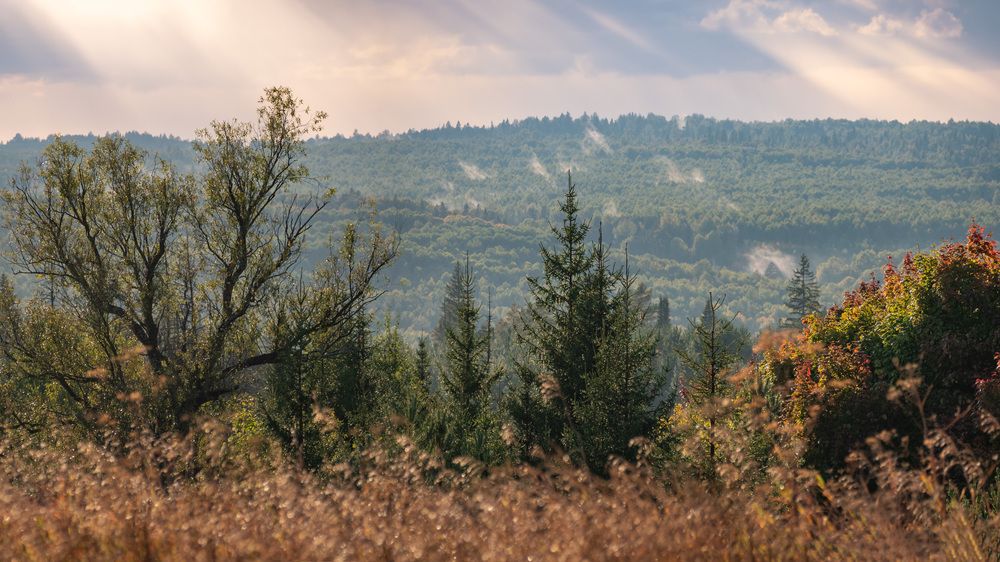 Photograph by Сергей Забиякин