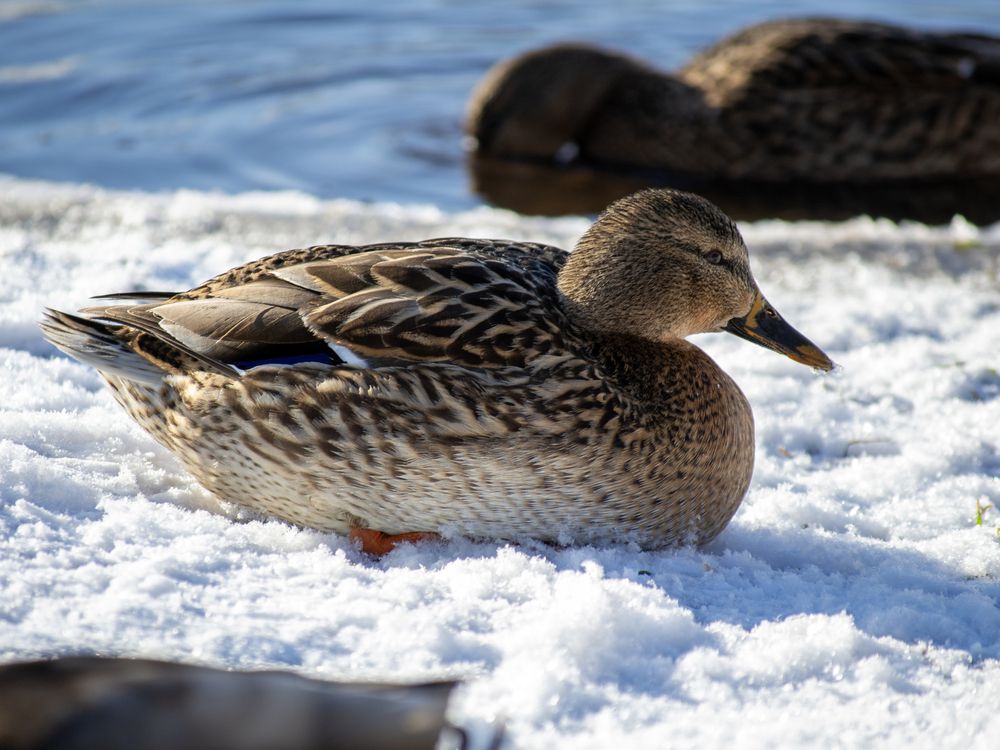 Photograph by Регина