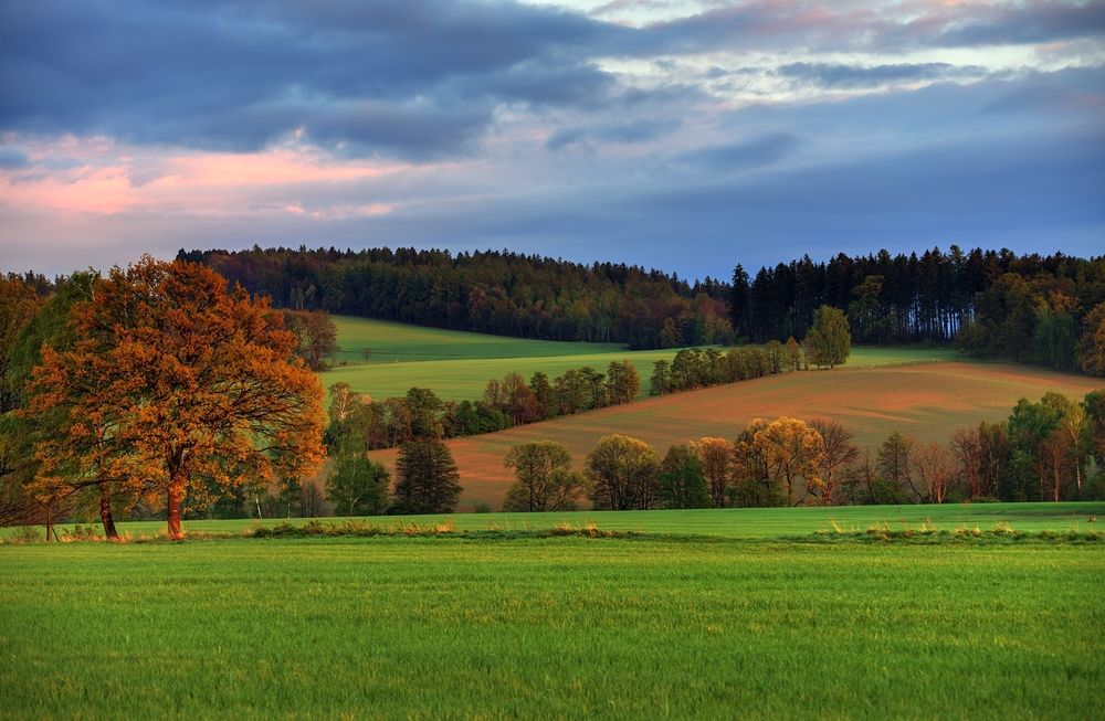 Photograph by Wydmuch Maciej