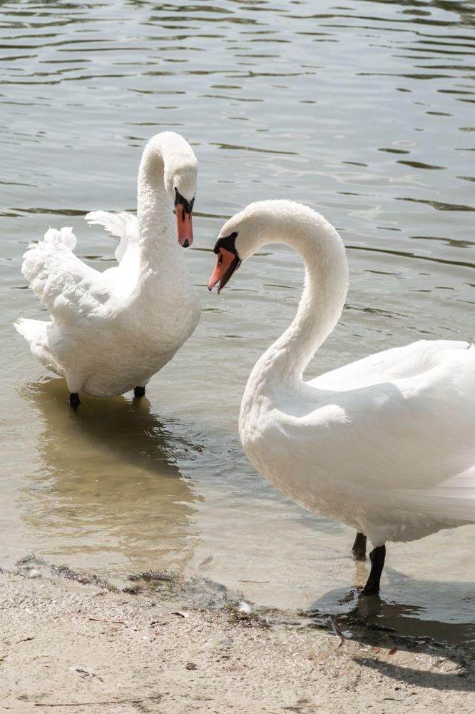 Photograph by Ольга Салтыкова