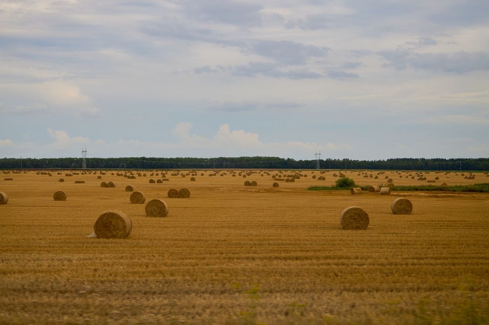 Photograph by Анна Голубова