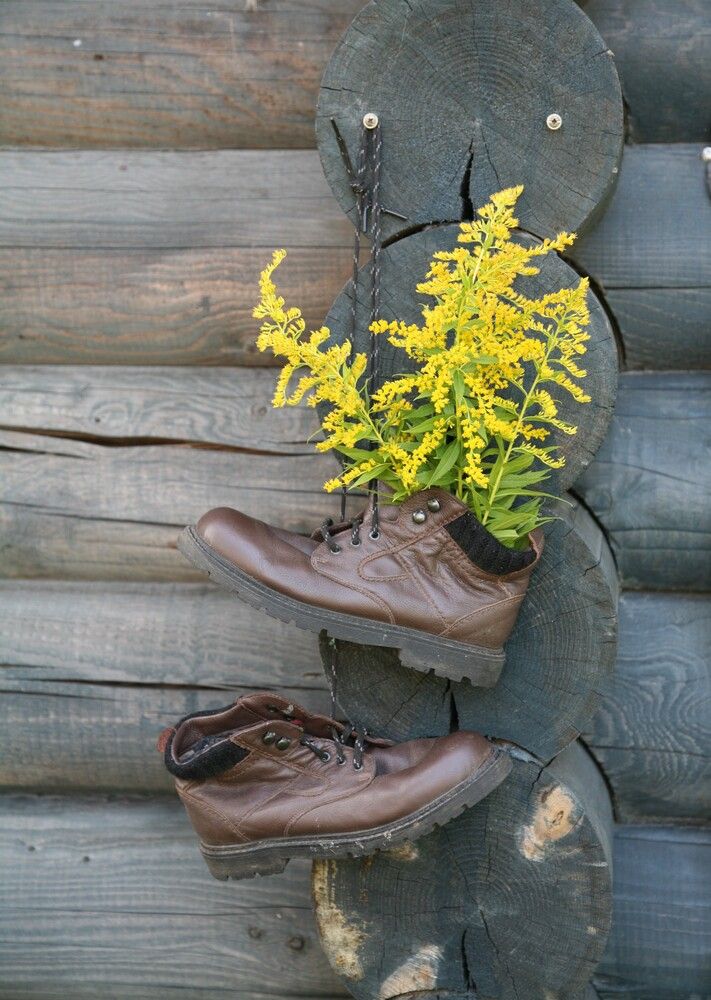 Photograph by Марина Леонова