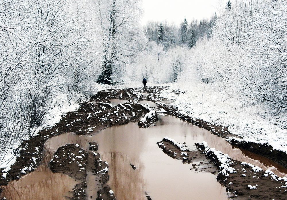 Photograph by Николай Орлов