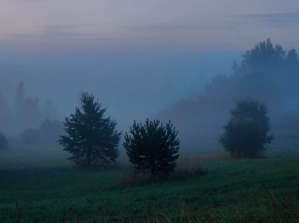 Photograph by Титова Дарья