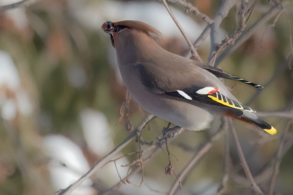 Photograph by Сергей Немцев