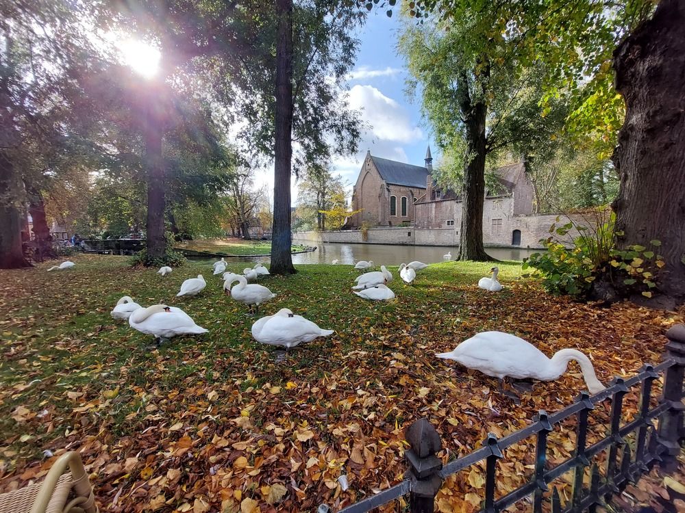 Photograph by Olgafotoos