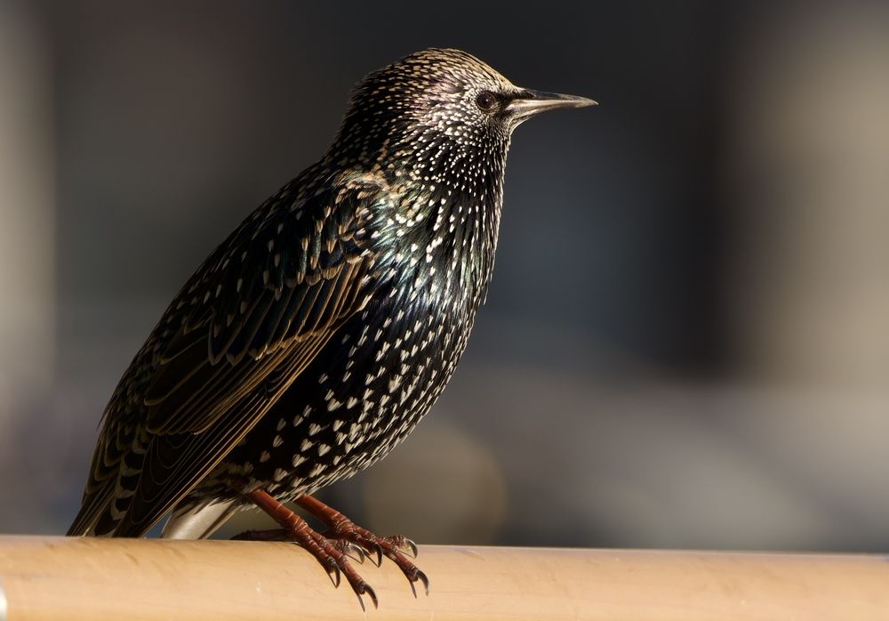 Фотография автора Viktoriya Kim