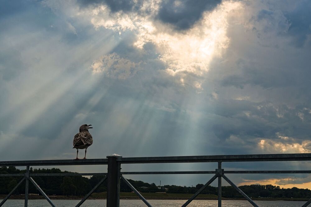 Photograph by Boeva Yuliya