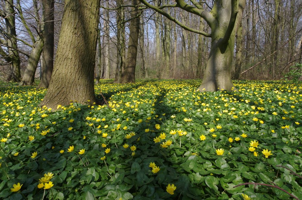 Photograph by Дмитрий Смирнов