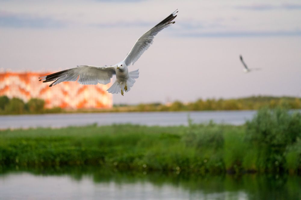 Фотография автора Viktoriya Kim