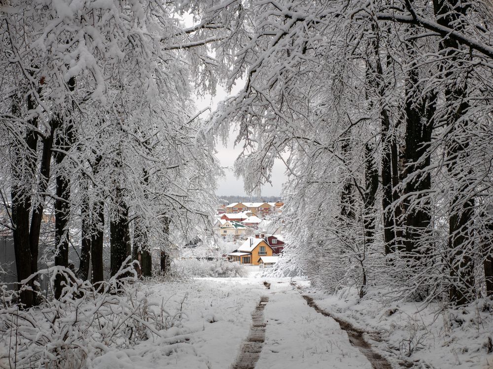 Photograph by Сергей Забиякин