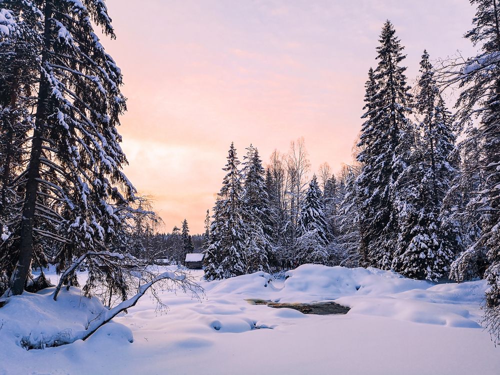 Photograph by Алина Стемковская