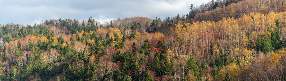Photograph by Eliseev Nikolay