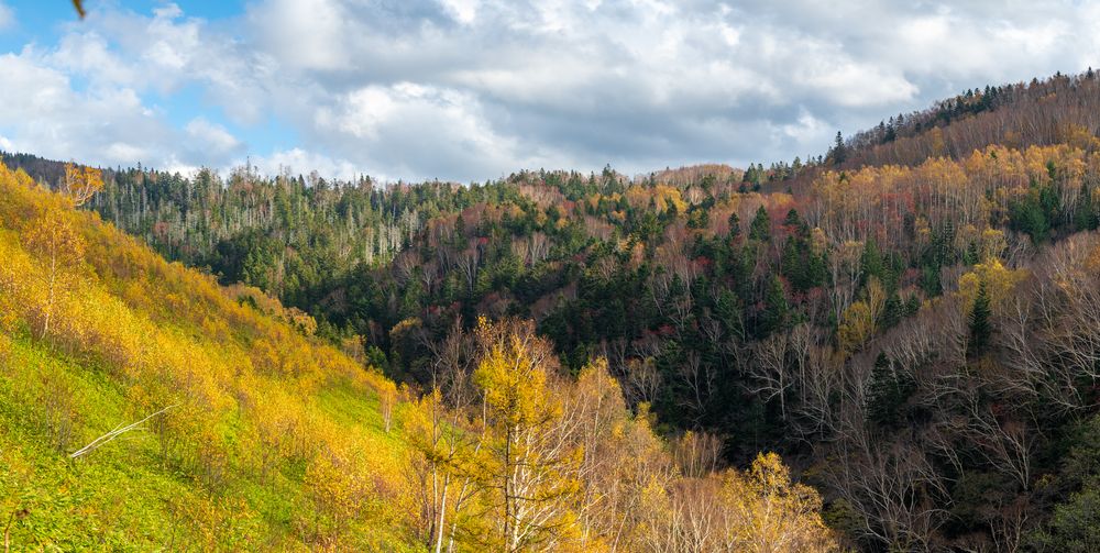 Photograph by Eliseev Nikolay