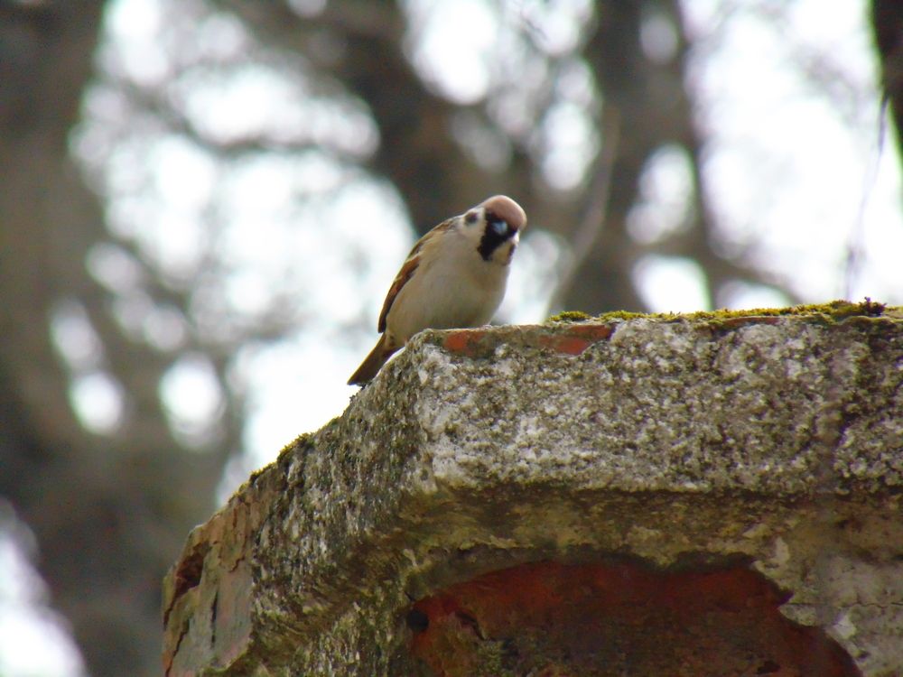 Photograph by Ольга Шевцова