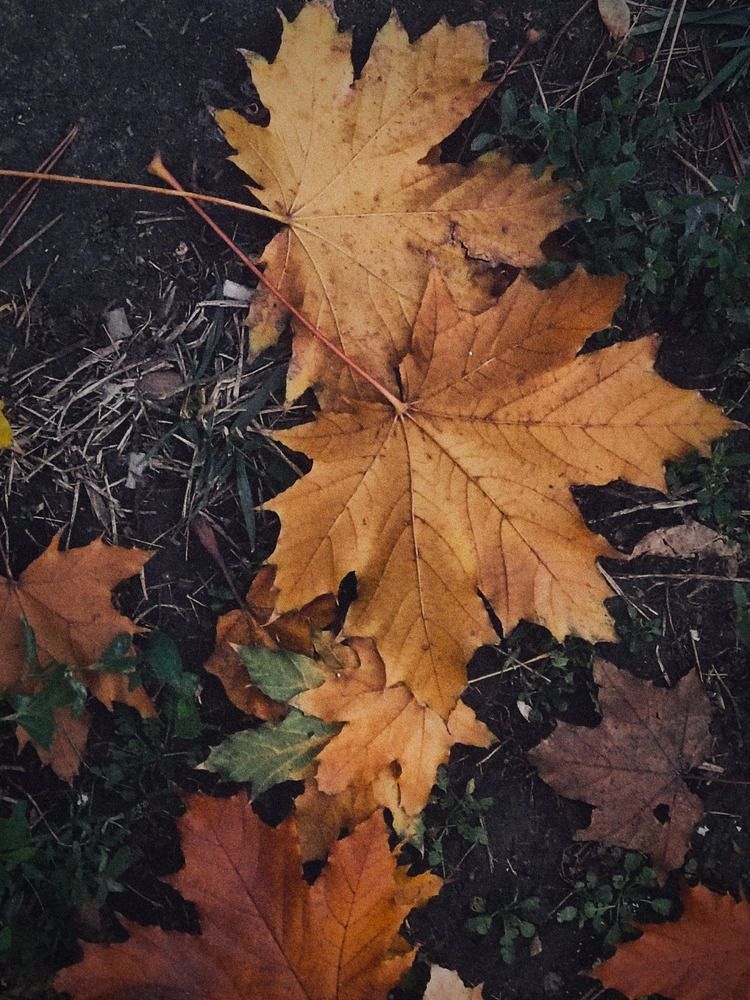 Photograph by Ольга Калинник