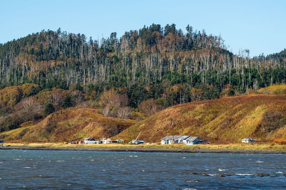 Photograph by Eliseev Nikolay