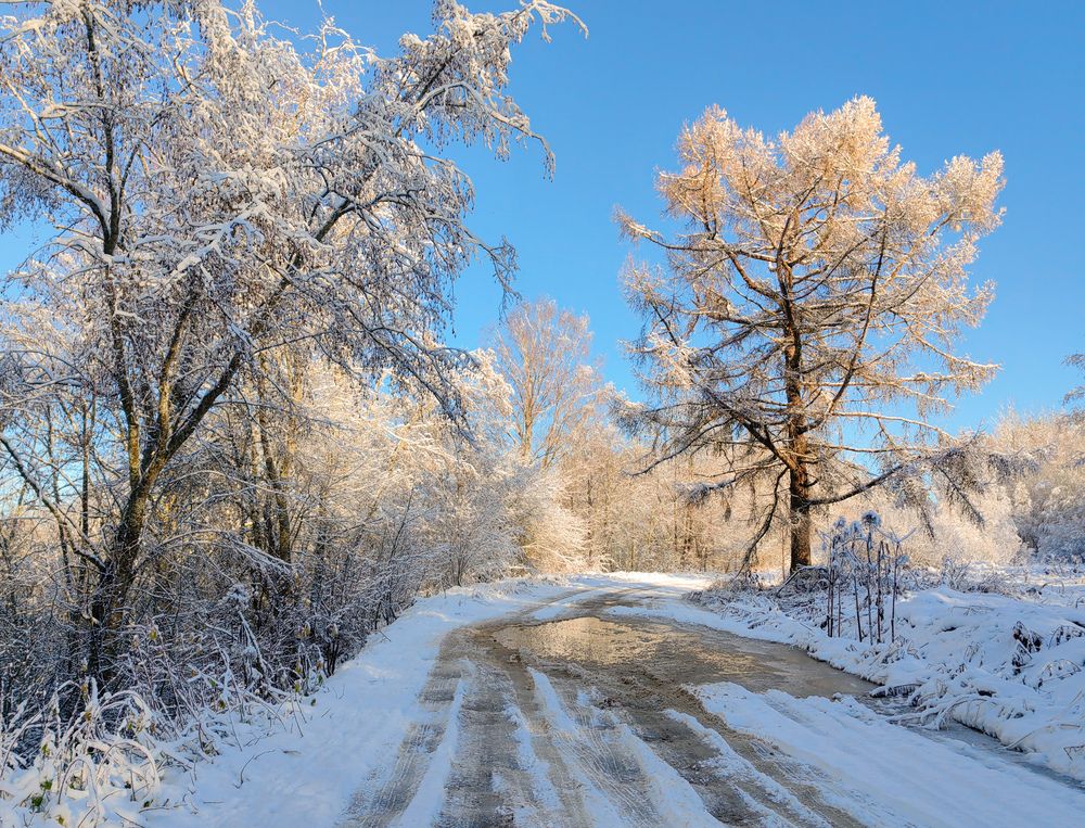 Photograph by Титова Дарья