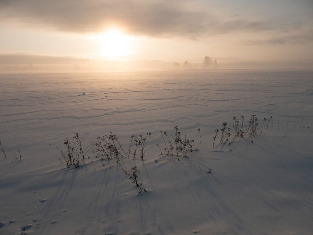 Photograph by Сергей Забиякин