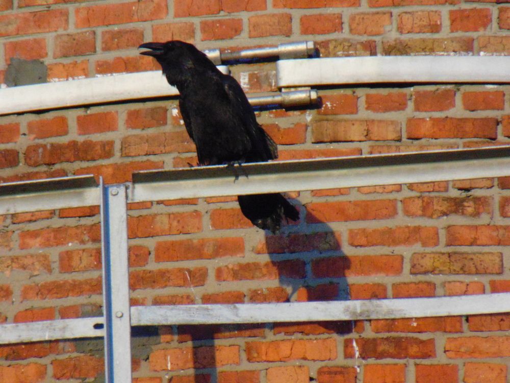 Photograph by Ольга Шевцова