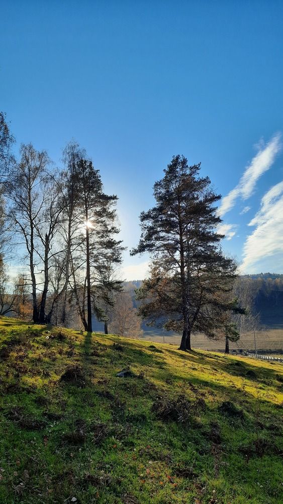 Photograph by Айгиза Мухамедьянова