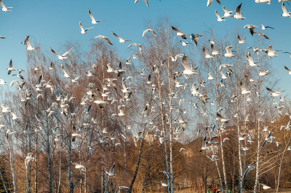 Photograph by Дмитрий