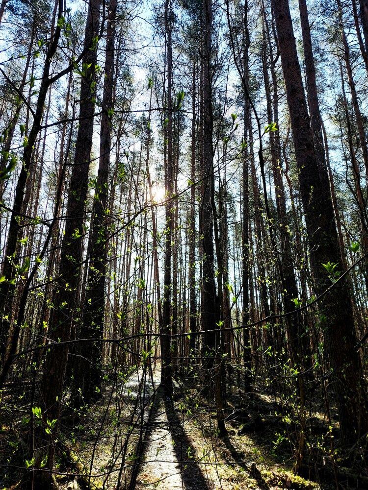 Photograph by Ксения Цветкова