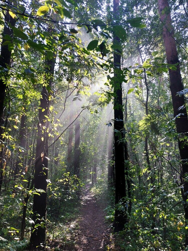 Photograph by Ксения Цветкова