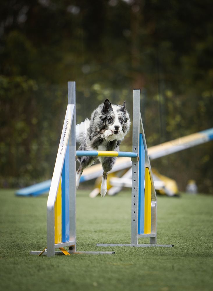 Photograph by Alexandre Marques