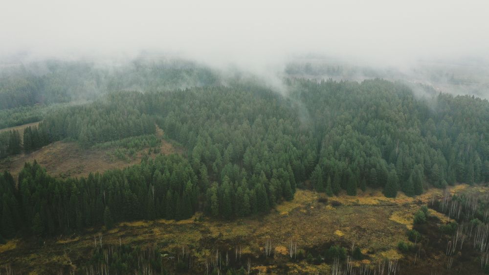 Photograph by Иван Сафонов