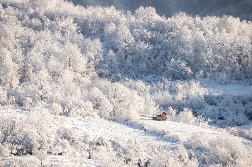 Photograph by Banciu Christine