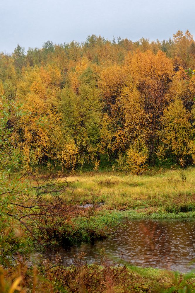 Photograph by Зоя Эль