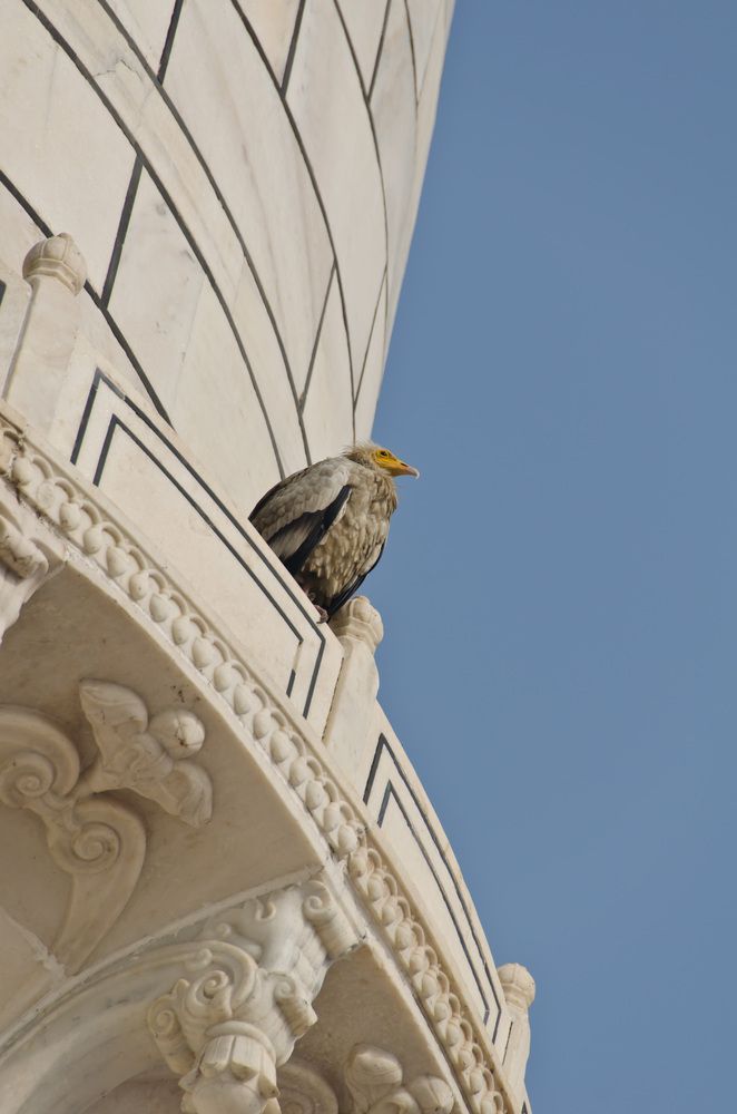 Photograph by Татьяна