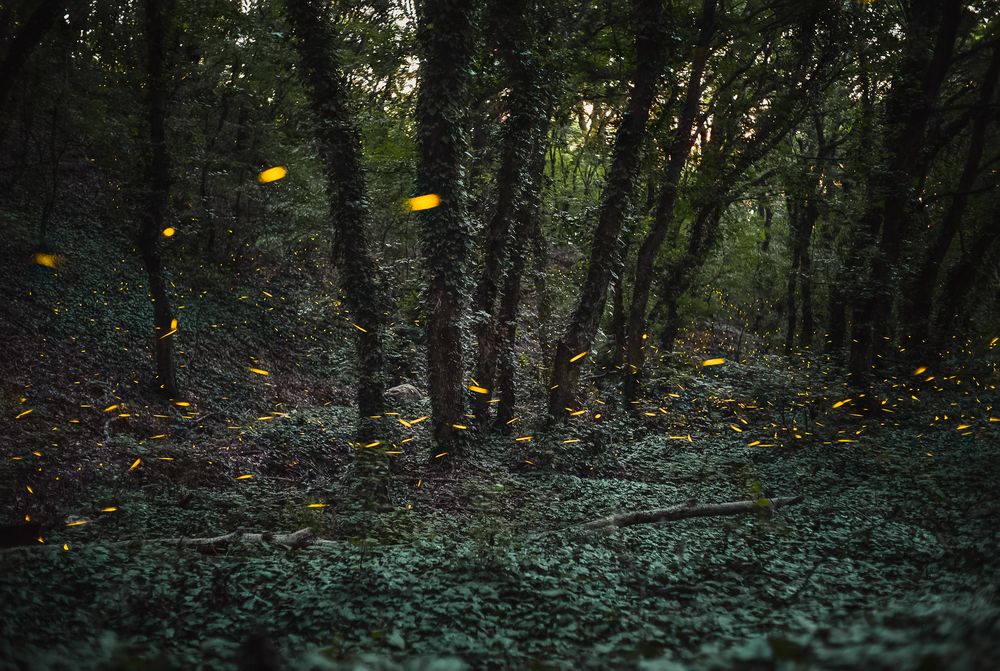 Photograph by Филипп Бабенко