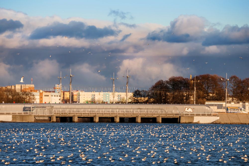 Photograph by Дмитрий