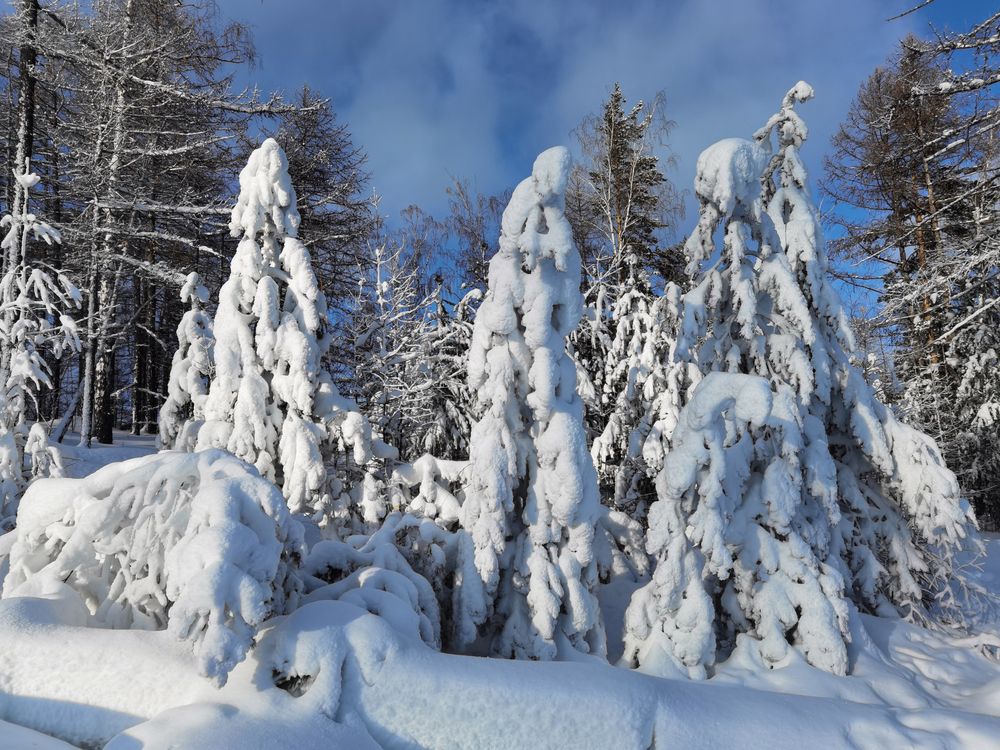 Photograph by Inna Ivanova