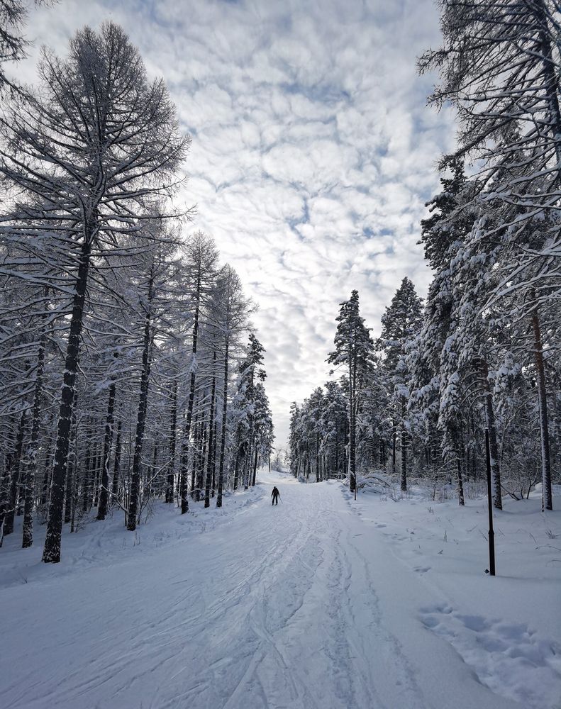 Photograph by Inna Ivanova