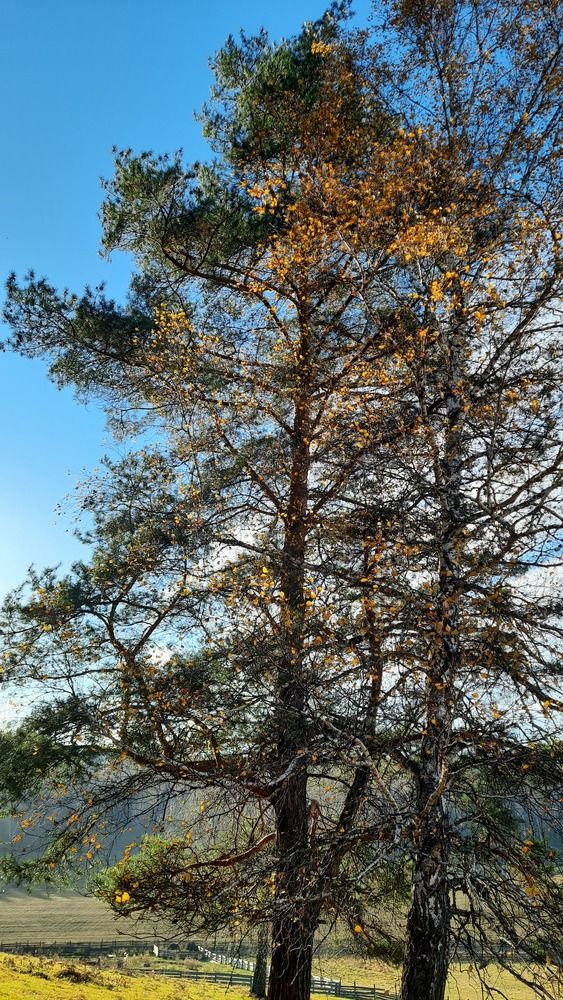 Photograph by Айгиза Мухамедьянова