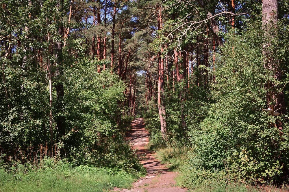 Photograph by Inna Ivanova