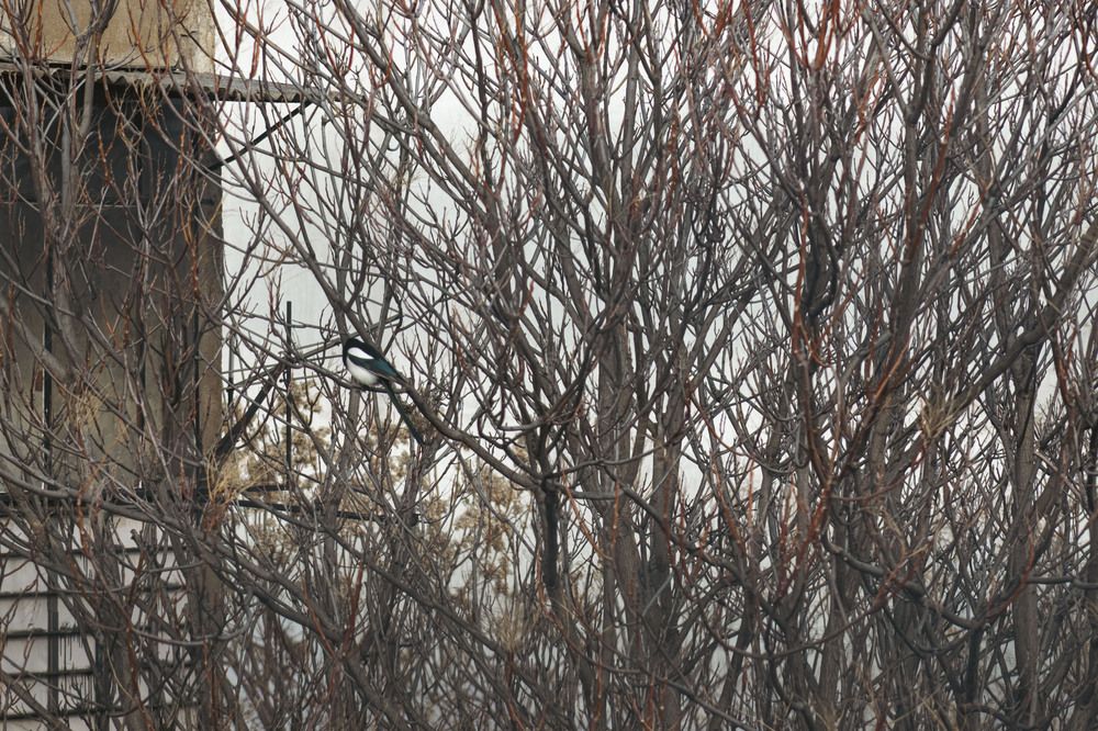 Photograph by Anna Gancheva