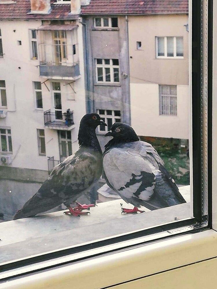 Photograph by Anna Gancheva