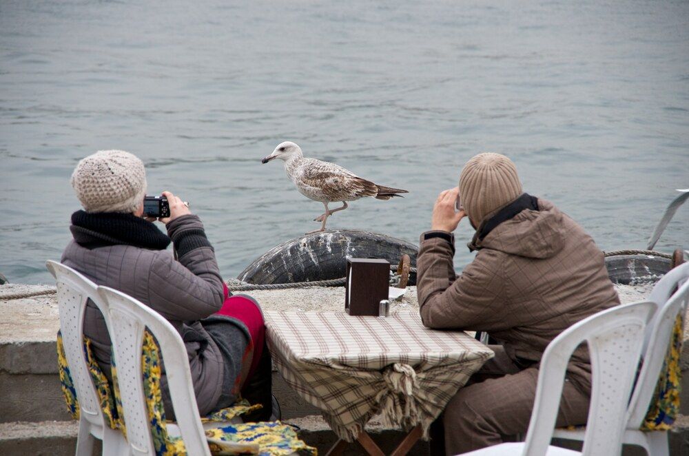 Photograph by Вадим Ершов
