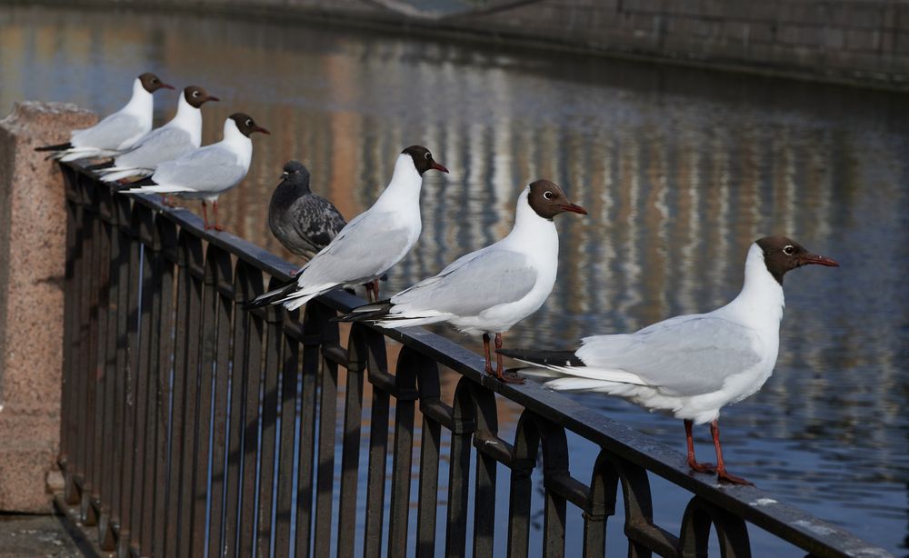 Photograph by Вадим Ершов